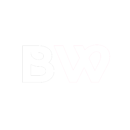 Web design Agency India